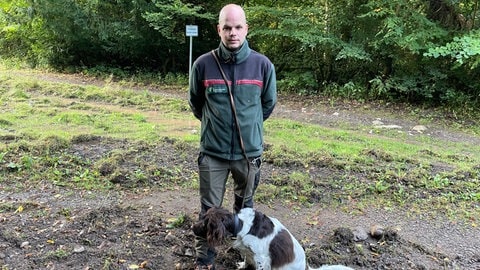In Idar-Oberstein drängen immer mehr Wildschweine in Wohngebiete