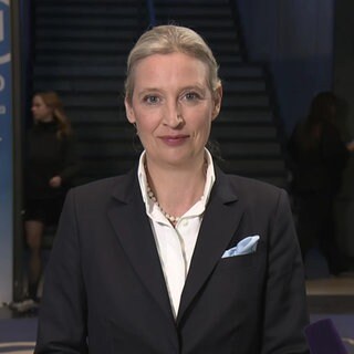 Alice Weidel, AfD