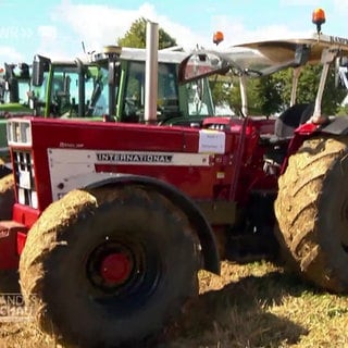 Zwischen Traktorenfans und Dieselrauch
