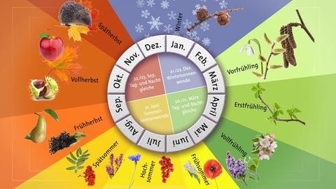 Phänologischer Kalender, tags: Jahreszeiten zehn erstfrühling