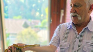 Reptilienexperte Armin Böhler hält die aufgefundene Kornnatter in seiner Hand. 