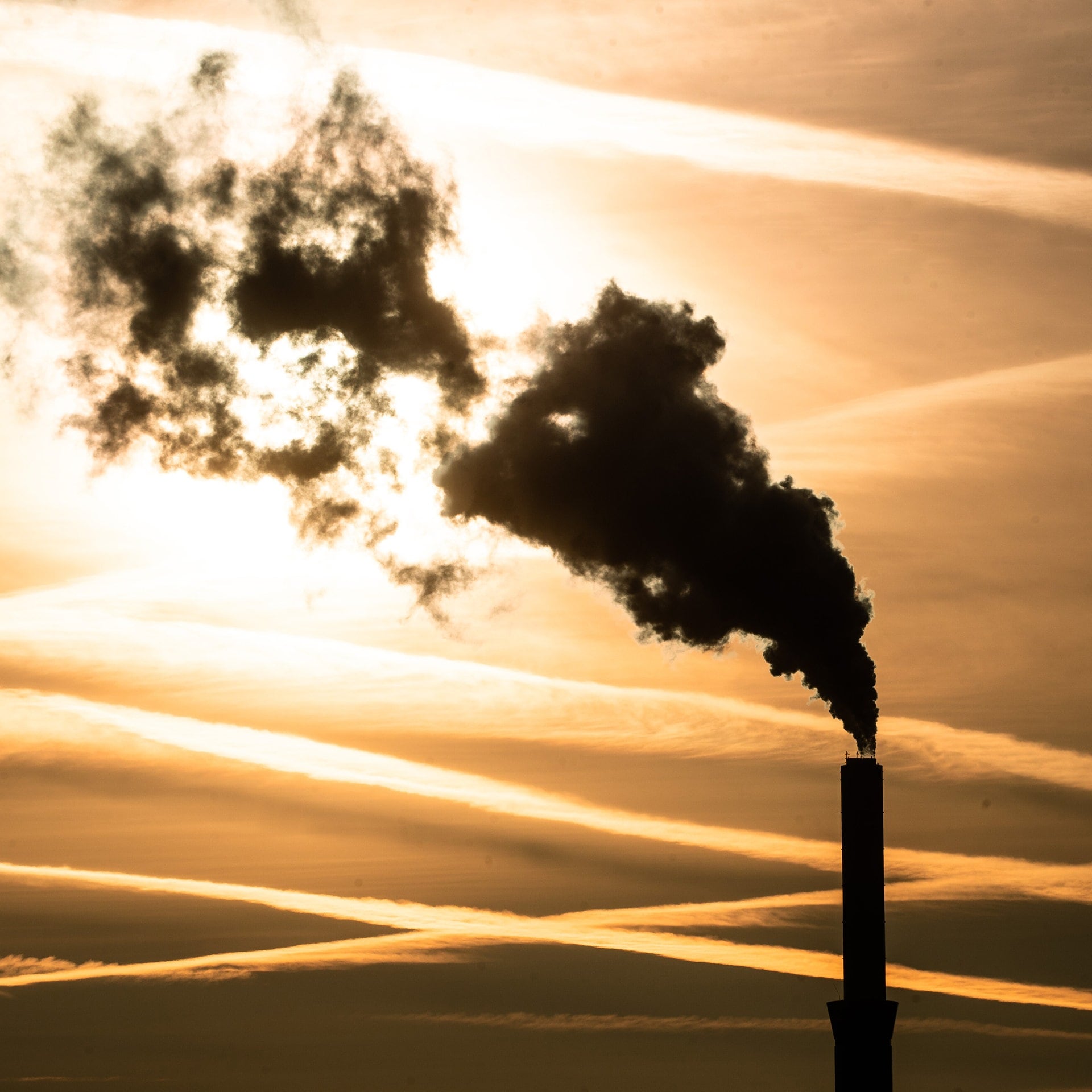 Zu wenig Klimaschutz: Experten üben Kritik an Klimapolitik in Baden-Württemberg