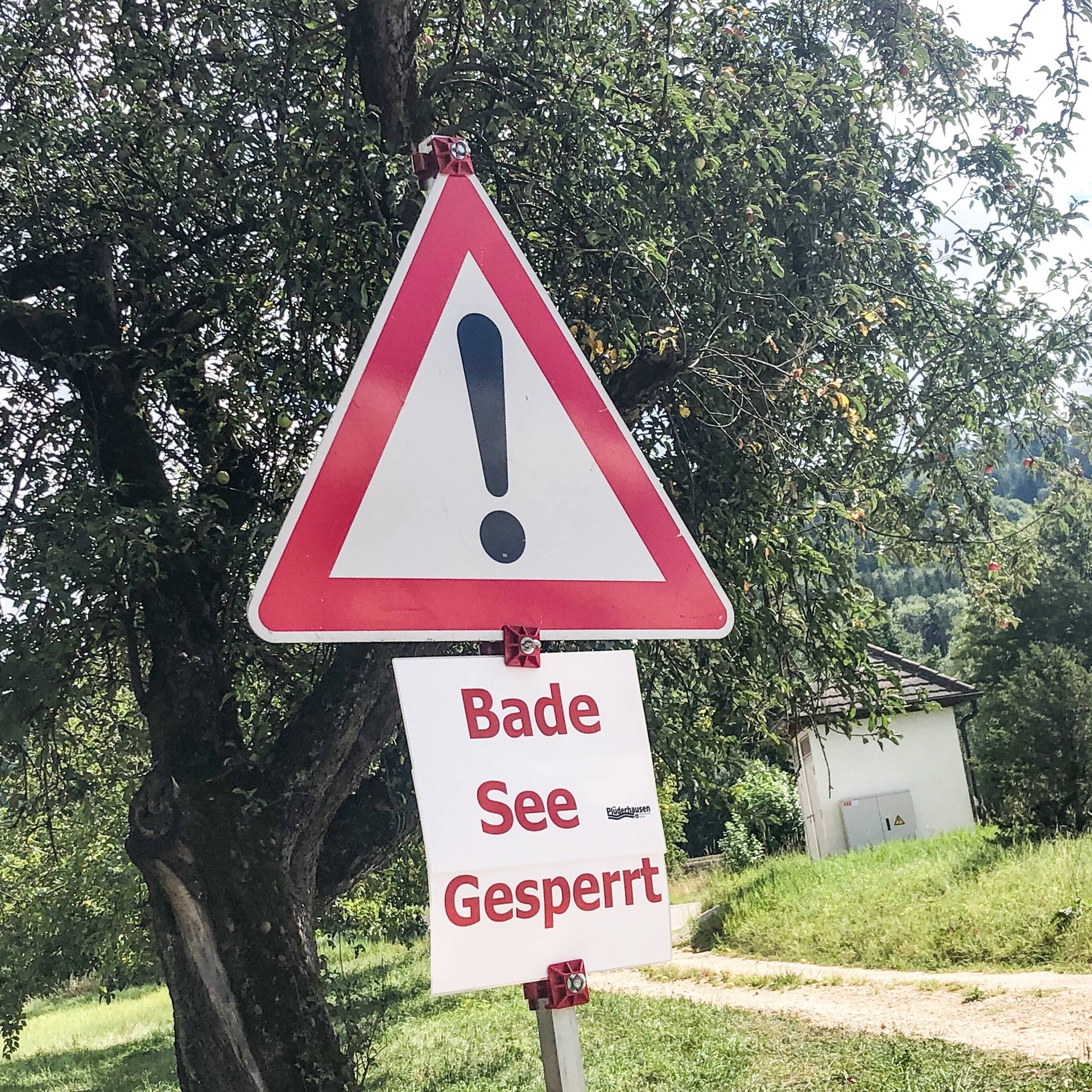 Was passiert, wenn ein Badesee umkippt – ist das gefährlich? episode artwork