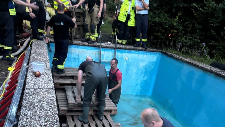Um das rund 400 kg-schwere Pferd unversehrt aus einem Pool bei Trippstadt rausführen zu können, wird gerade eine stabile Unterkonstruktion gebaut.