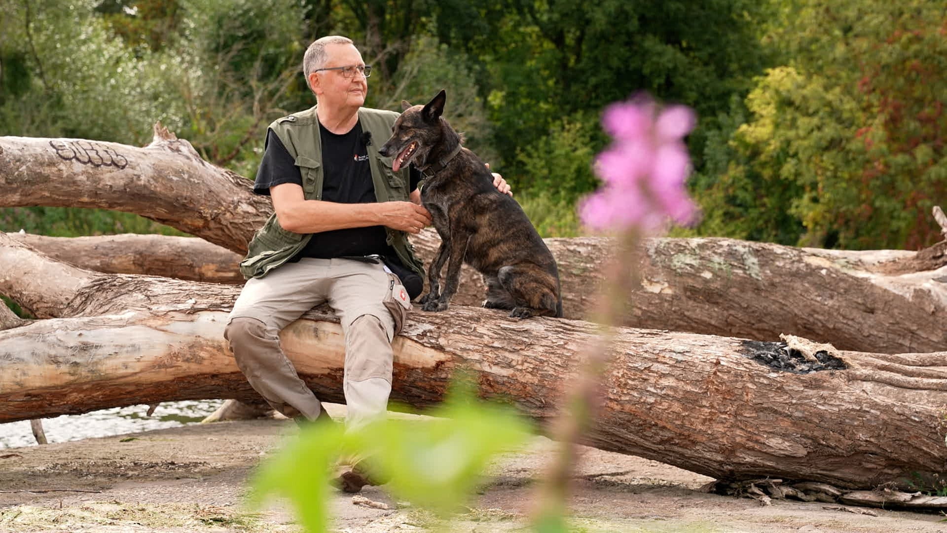 Mein Hund hat mein Leben gerettet – Jürgens Geschichte