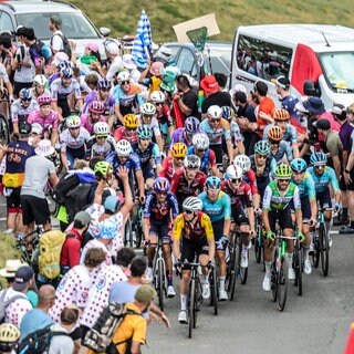 Das Peleton der Tour de France 2026