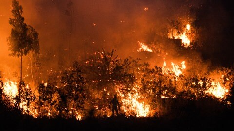 Symbolbild: Schon ein einziger Funken kann einen Waldbrand auslösen, auch in Rheinhessen und an der Nahe.