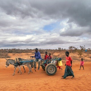 Eine Gruppe von Menschen erreicht 2022 ein Flüchtlingslager am Stadtrand von Dollow in Somalia. Somalia erlebte die schlimmste Dürre seit jeher. Mitverantwortlich ist der Klimawandel.