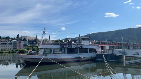 Fahrgastschiffe auf der Mosel