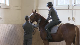 Pferd wird im Gestüt Marbach angeritten