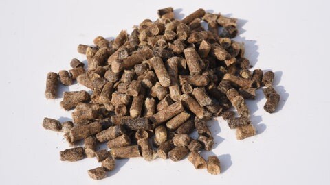 Kleine braune Pellets aus Schafwolle zum Düngen vor weißem Hintergrund.