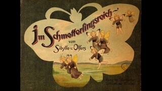 Buchcover "Im Schmmeteterlingsreich" von Sibylle von Olfers.