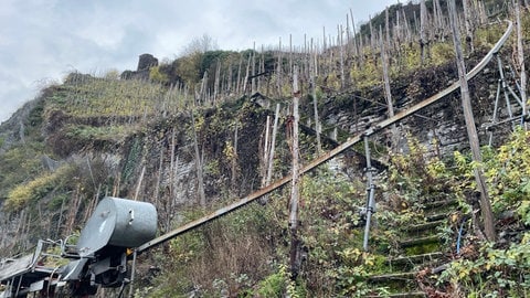 Sogenannte Monorackbahnen nutzen Winzer, um besonders steile Weinberge zu erreichen. 