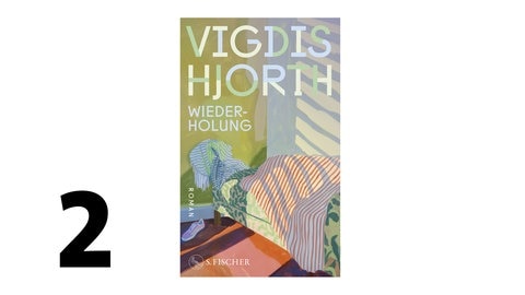 Cover des Buches Vigdis Hjorth: Wiederholung