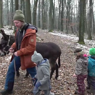 Kinder gehen mit Esel spazieren
