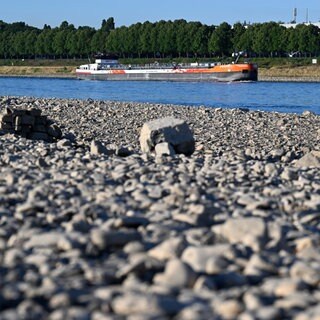 Schifffahrt auf dem Rhein in der Pfalz muss voraussichtlich eingestellt werden - Schiff auf dem Rhein und freiliegende Steine