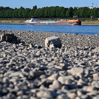 Schifffahrt auf dem Rhein in der Pfalz muss voraussichtlich eingestellt werden - Schiff auf dem Rhein und freiliegende Steine