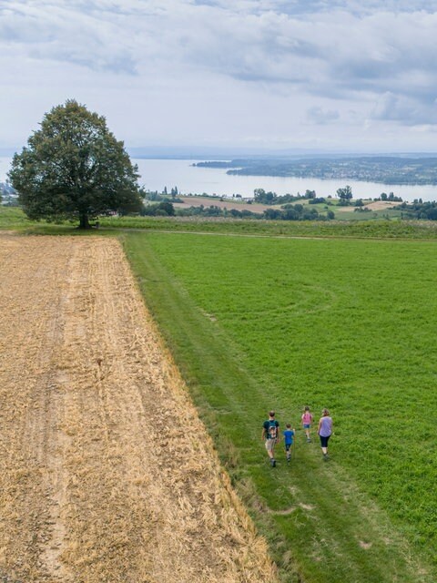 Wanderer laufen über die Hödinger Höhe. Von hier aus hat man einen schönen Ausblick auf den Bodensee.