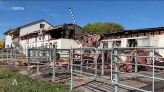 Großbrand auf Reiterhof in Tübingen