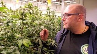 Daniel Keune, Erster Vorsitzender des Cannabis Social Club Ganderkesee, steht vor Cannabis-Pflanzen in den Räumen des Anbauvereins Cannabis Social Club: Am 1. April 2024 trat das Cannabisgesetz in Kraft. Bis heute wird es hitzig und sehr emotional diskutiert. Wie steht es um Anbauvereine, Eigenanbau und Gesundheitsschutz? 