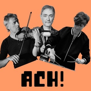 Trio ACH Collage