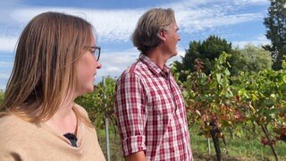 Unser Ausflugstipp: Der Mühlenwanderweg in Edesheim