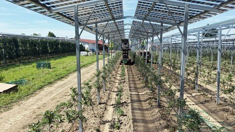 Eine Maschine unter dem Dach der Solarpanäle der Agri-PV-Anlage in Kressbronn