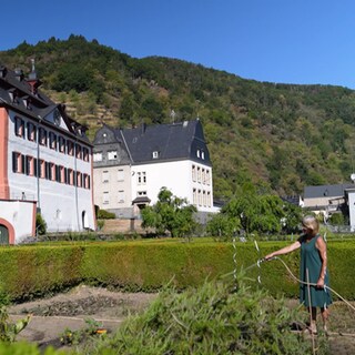 Der Probsteigarten in Hirzenach ist eine alte barocke Anlage und wird heute von einem Förderverein gepflegt.