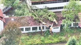Baum stürzte auf Gebäude