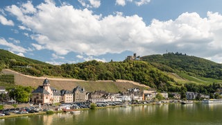 Checken Sie Ihren Wahlkreis im Wahlkreis-Check zur Landtagswahl 2021 in Rheinland-Pfalz