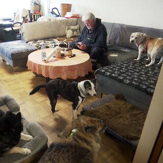 Tierretter Jürgen Völker sitzt auf seiner Couch. Um ihn herum liegen Hunde und Hunde-Körbchen.
