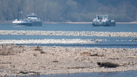 Auf dem Rhein fahren Binnenschiffe - auch bei Niedrigwasser. Das Bild wurde bei Bingen gemacht. 