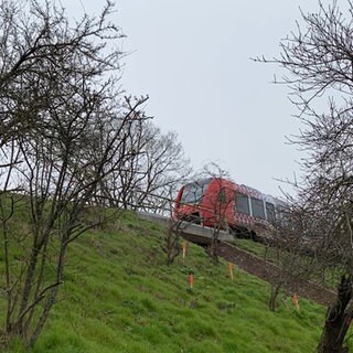 Der unterhöhlte Bahndamm bei Wachenheim. Rote Pflöcke markieren die Dachshöhlen. Die Zugstrecke zwischen Bad Dürkheim und Deidesheim muss wegen des unterhöhlten Bahndamms gesperrt werden.