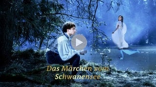 Key Visual „Das Märchen vom Schwanensee” 