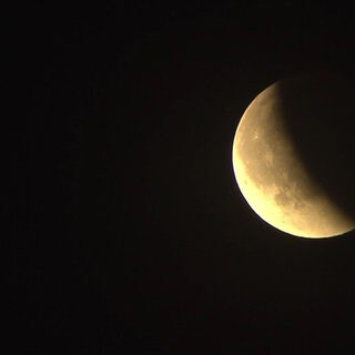 Mond