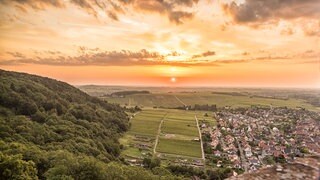 Checken Sie Ihren Wahlkreis im Wahlkreis-Check zur Landtagswahl 2021 in Rheinland-Pfalz