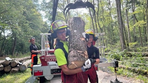 Mitarbeiter des Karlsruher Forstamts und der Feuerwehr üben das Sägen an einem Baum, der unter Spannung steht. Dafür nutzen Sie einen Spannungssimulator. Nach einem Unwetter birgt das Aufräumen ungestürzter Bäume eine große Gefahr für Einsatzkräfte.