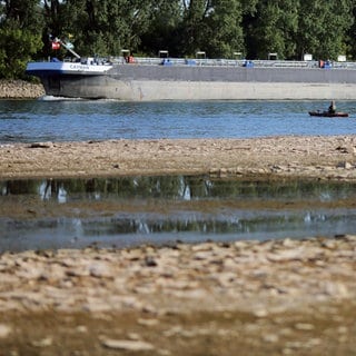 Ein langer Frachter ist auf dem Rhein, der Niedrigwasser führt