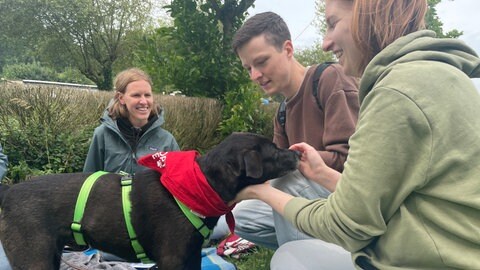 Sebastian Herpich und Maria Sawinska sitzen beim Bark Daten vor einem Hund in der Hocke.