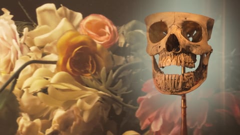 Einblick in die Ausstellung "Vanitas. Die Schönheit des Vergänglichen" im Museum LA 8 in Baden-Baden
