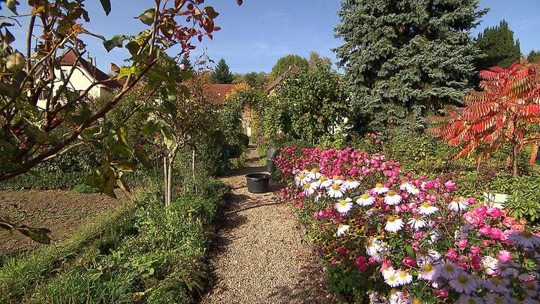 Winterborn Garten