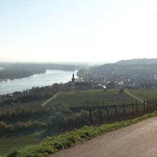 Eine sonnige Landschaft am Ufer eines Flusses