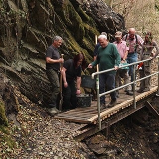 Eifeler Wanderweg durch Waldbrand verwüstet: Ehrenamtliche packen an