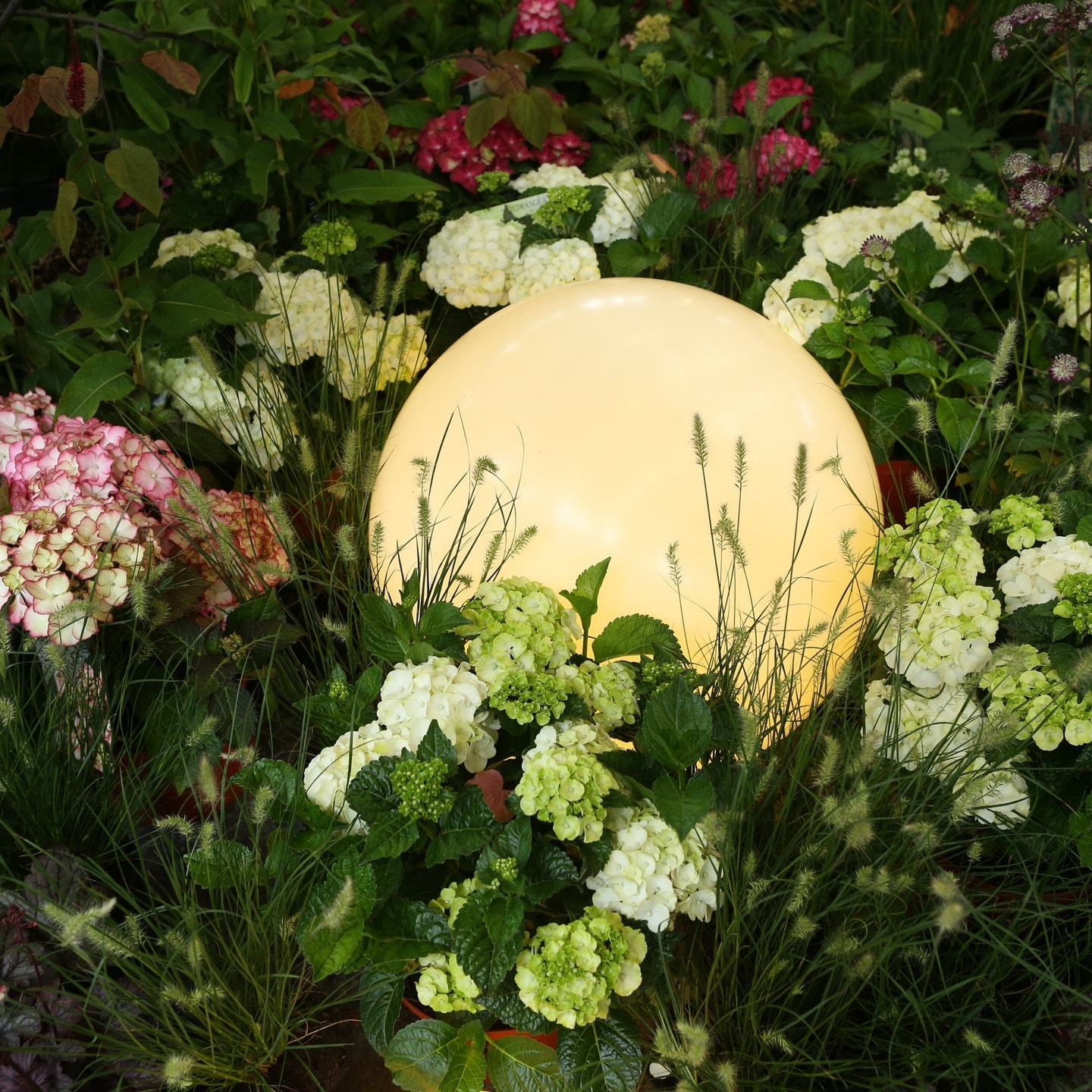 Gartenbeleuchtung: Ideen für die Beleuchtung mit LED und Solar