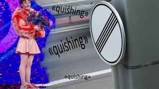 Eine Kollage mit ESC Gewinner Nemo, dem Wort Quishing und einem Straßenschild "Ende aller Streckenverbote"