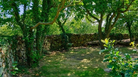 Eine Steinmauer umrandet einen schattigen Bereicht eines Gartens mit Rasen und Bäumen. Ungenutzte, schattige Plätze im Garten eigenen sich wunderbar, um einen Käferkeller anzulegen.
