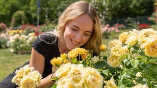 Eine Frau schaut sich im Garten der internationalen Rosenneuheiten in Baden-Baden die Gewinnerrose mit dem Namen "Spotlight" an.