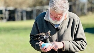 Franz Ruchlak und sein Singvogel namens Fips. Der Falkner trainiert den Singvogel in Löffingen.