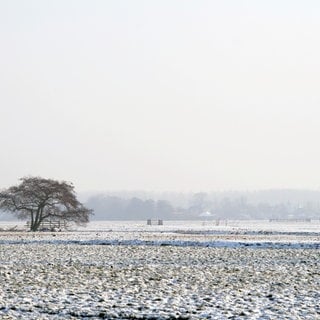 Eine winterliche Landschaft