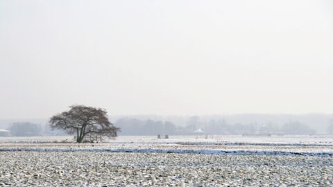 Eine winterliche Landschaft